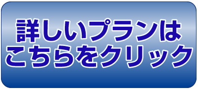 �ڂ����v�����ɂ��Ă͗����ꗗ�������������B